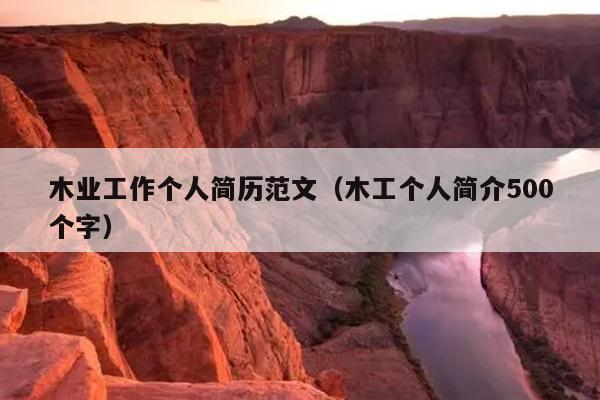木业工作个人简历范文(木工个人简介500个字)