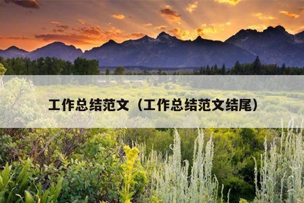 工作总结范文(工作总结范文结尾)
