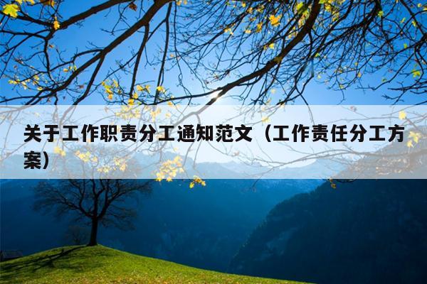关于工作职责分工通知范文(工作责任分工方案)