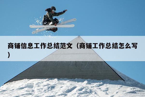 商铺信息工作总结范文(商铺工作总结怎么写)