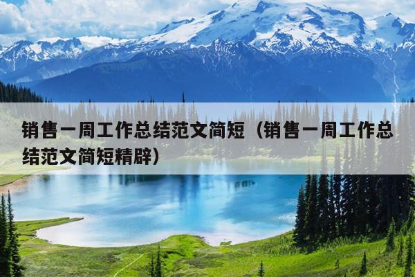 销售一周工作总结范文简短(销售一周工作总结范文简短精辟)
