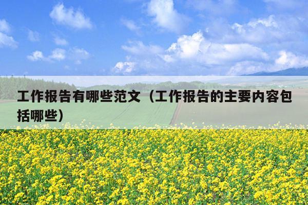 工作报告有哪些范文(工作报告的主要内容包括哪些)