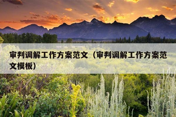 审判调解工作方案范文(审判调解工作方案范文模板)