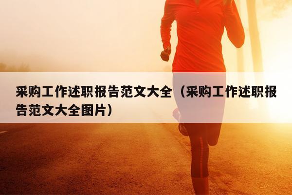 采购工作述职报告范文大全(采购工作述职报告范文大全图片)