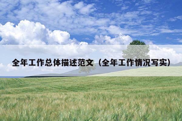 全年工作总体描述范文(全年工作情况写实)