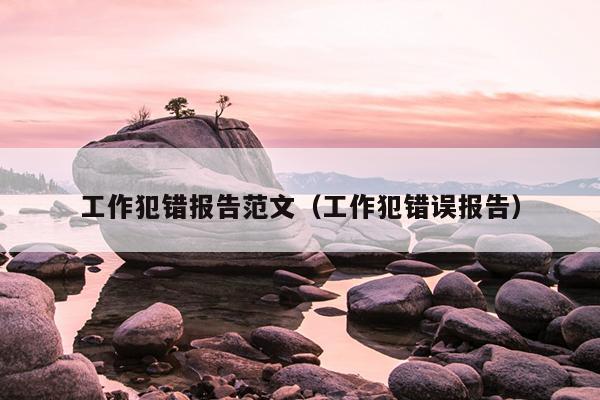 工作犯错报告范文(工作犯错误报告)