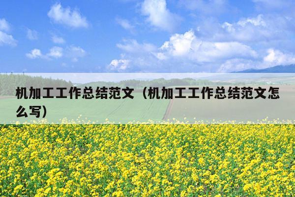 机加工工作总结范文(机加工工作总结范文怎么写)