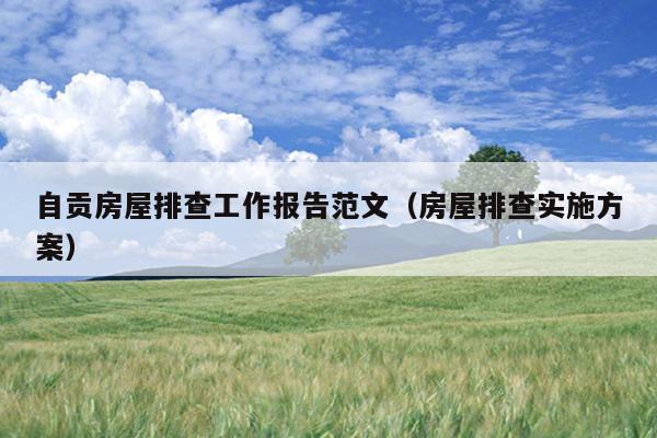 自贡房屋排查工作报告范文(房屋排查实施方案)