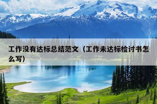 工作没有达标总结范文(工作未达标检讨书怎么写)