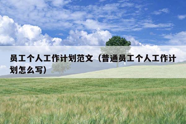 员工个人工作计划范文(普通员工个人工作计划怎么写)
