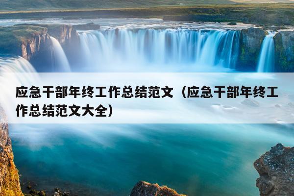 应急干部年终工作总结范文(应急干部年终工作总结范文大全)