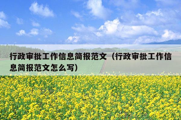 行政审批工作信息简报范文(行政审批工作信息简报范文怎么写)