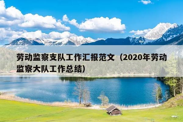 劳动监察支队工作汇报范文(2020年劳动监察大队工作总结)