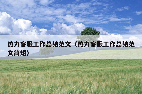 热力客服工作总结范文(热力客服工作总结范文简短)
