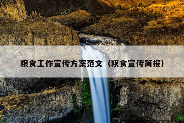 粮食工作宣传方案范文(粮食宣传简报)