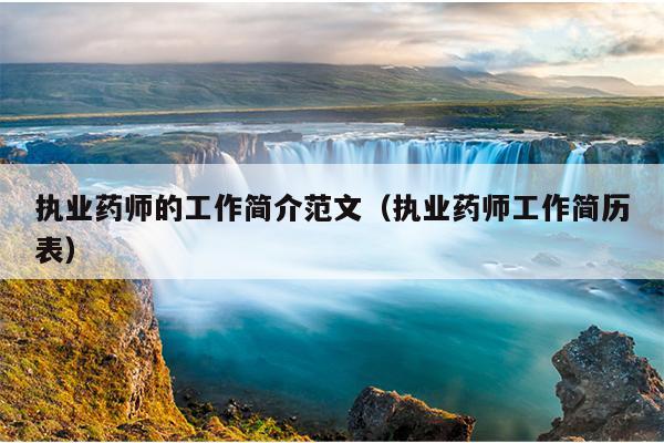 执业药师的工作简介范文(执业药师工作简历表)