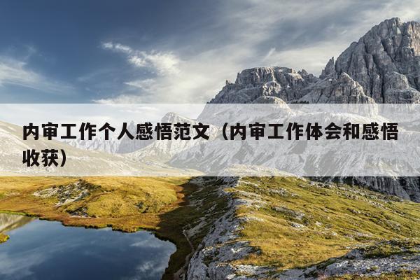 内审工作个人感悟范文(内审工作体会和感悟收获)