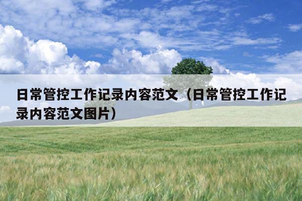 日常管控工作记录内容范文(日常管控工作记录内容范文图片)