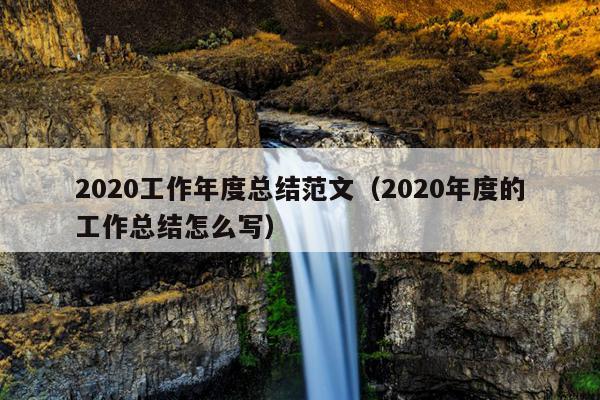 2020工作年度总结范文(2020年度的工作总结怎么写)
