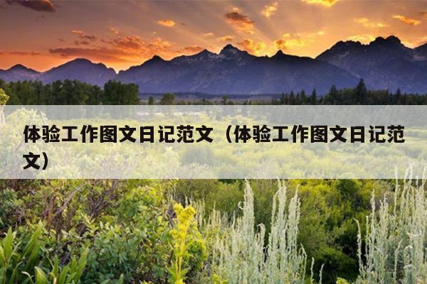 体验工作图文日记范文(体验工作图文日记范文)