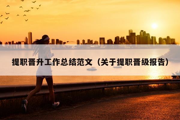 提职晋升工作总结范文(关于提职晋级报告)
