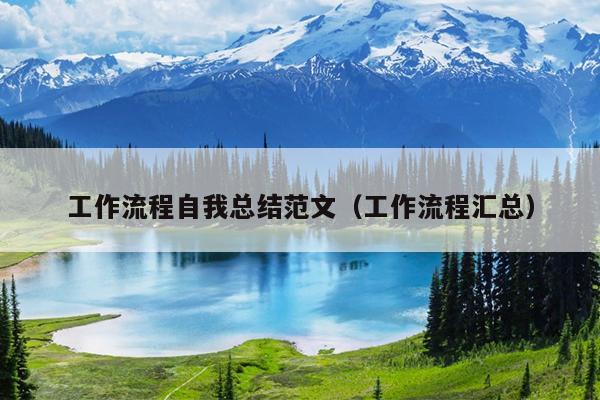 工作流程自我总结范文(工作流程汇总)