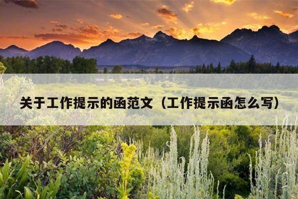 关于工作提示的函范文(工作提示函怎么写)