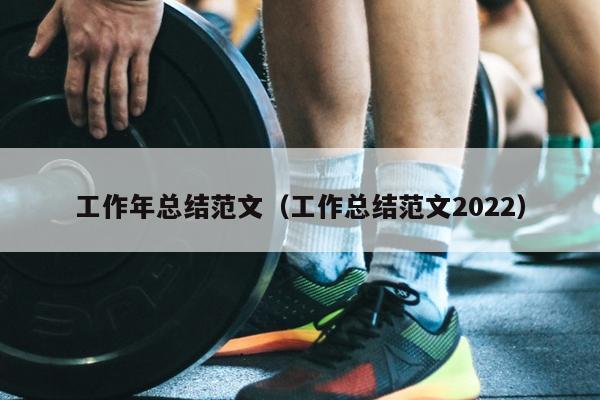 工作年总结范文(工作总结范文2022)