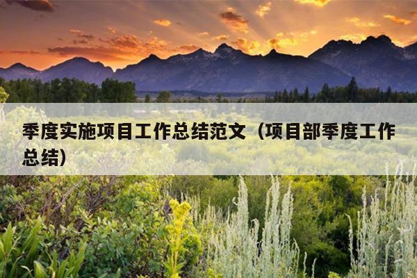季度实施项目工作总结范文(项目部季度工作总结)