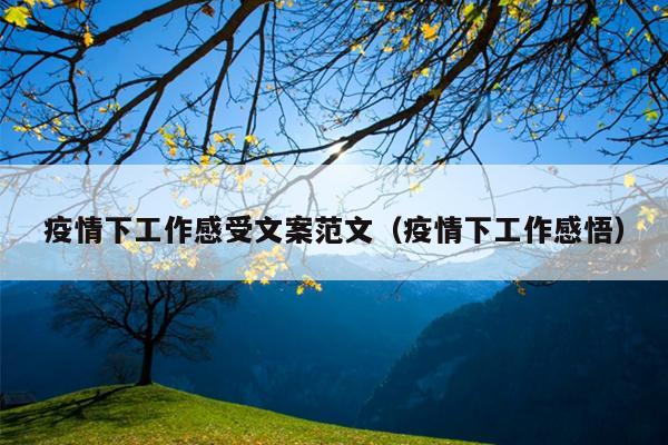 疫情下工作感受文案范文(疫情下工作感悟)