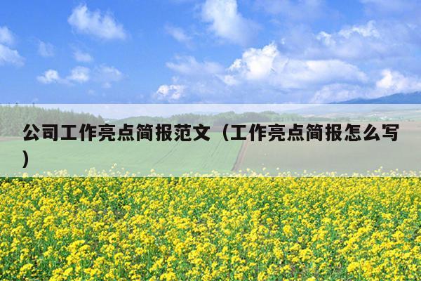 公司工作亮点简报范文(工作亮点简报怎么写)