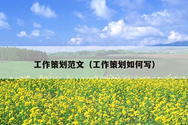 工作策划范文(工作策划如何写)