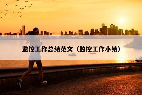 监控工作总结范文(监控工作小结)