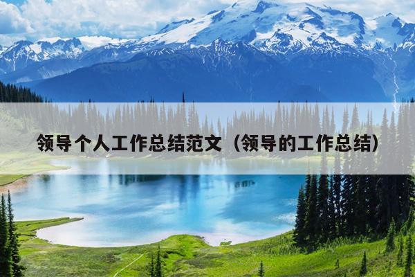 领导个人工作总结范文(领导的工作总结)