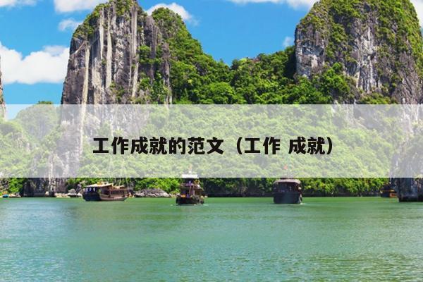 工作成就的范文(工作 成就)