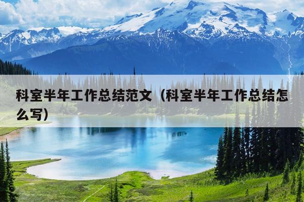 科室半年工作总结范文(科室半年工作总结怎么写)