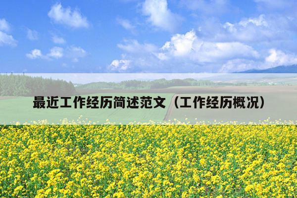 最近工作经历简述范文(工作经历概况)