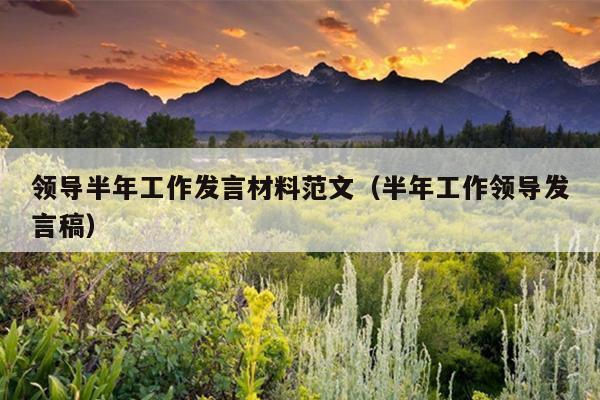 领导半年工作发言材料范文(半年工作领导发言稿)