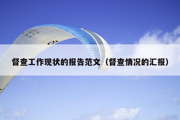 督查工作现状的报告范文(督查情况的汇报)