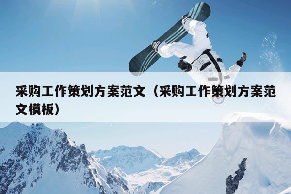 采购工作策划方案范文(采购工作策划方案范文模板)