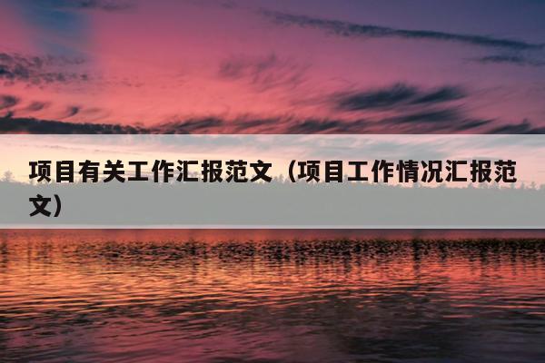 项目有关工作汇报范文(项目工作情况汇报范文)