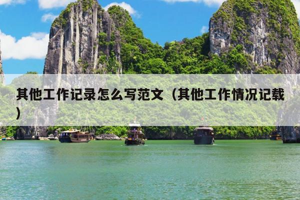 其他工作记录怎么写范文(其他工作情况记载)