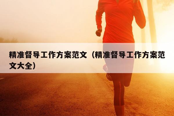 精准督导工作方案范文(精准督导工作方案范文大全)