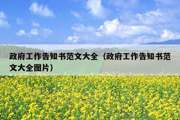 政府工作告知书范文大全(政府工作告知书范文大全图片)