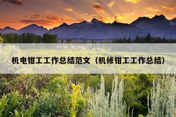 机电钳工工作总结范文(机修钳工工作总结)