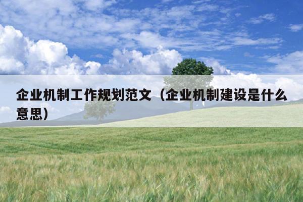企业机制工作规划范文(企业机制建设是什么意思)