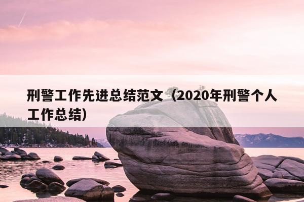 刑警工作先进总结范文(2020年刑警个人工作总结)