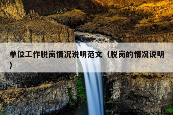 单位工作脱岗情况说明范文(脱岗的情况说明)