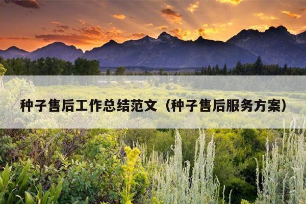 种子售后工作总结范文(种子售后服务方案)