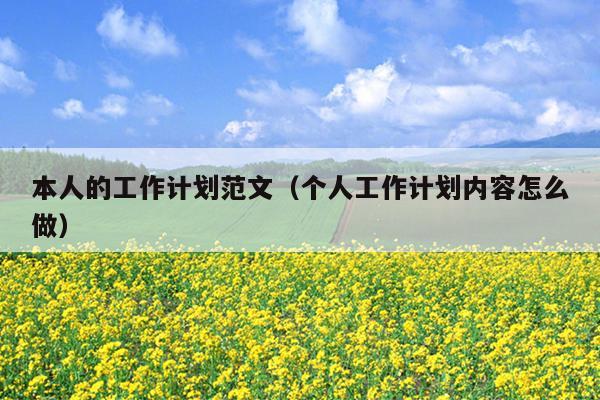 本人的工作计划范文(个人工作计划内容怎么做)